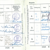 Judopass von Frank Thiele