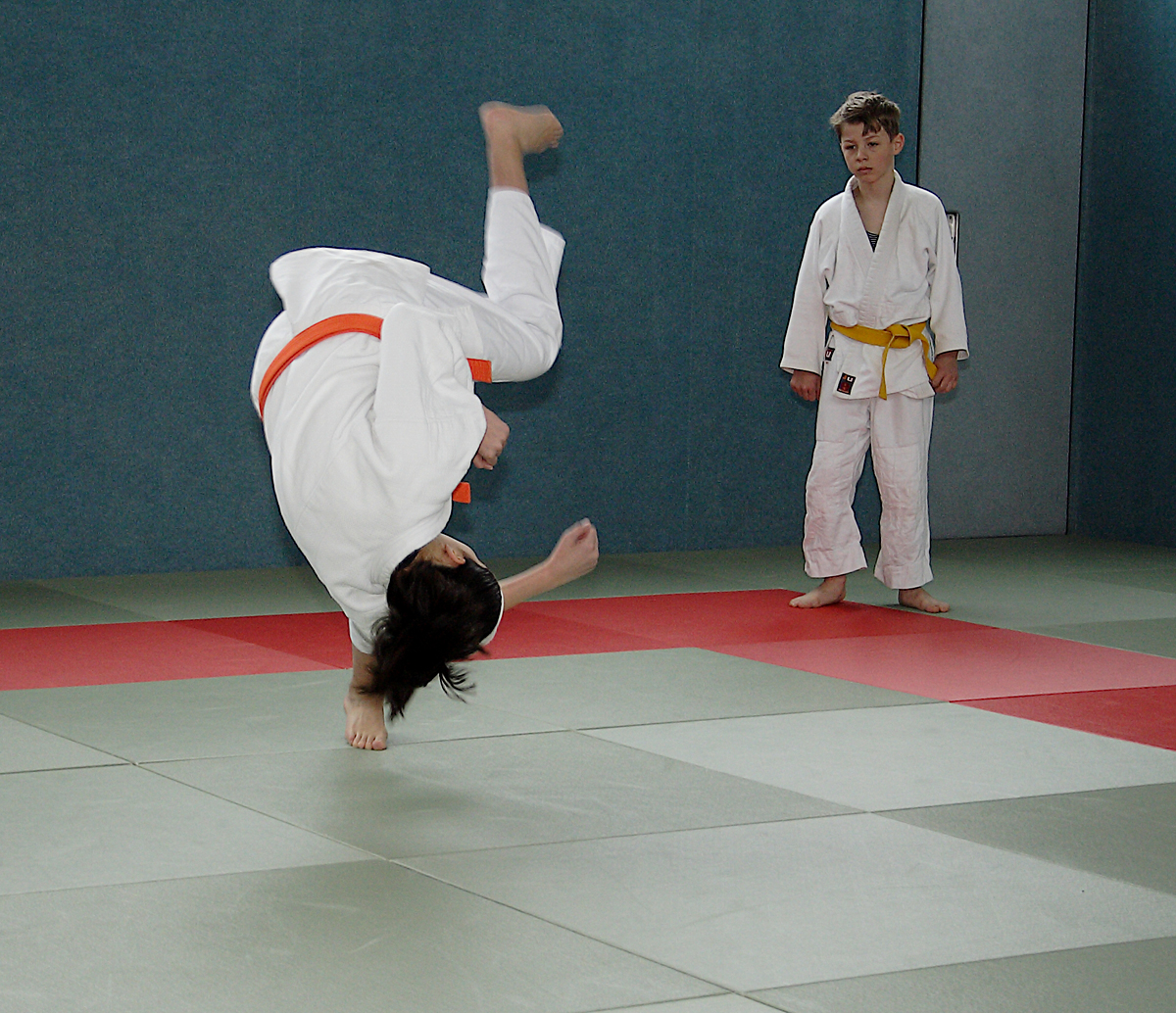 Kyū-Prüfungen - April 2019