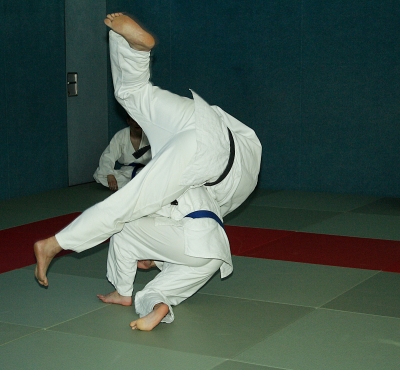 Prüfung zum 1. Kyū - Juni 2019