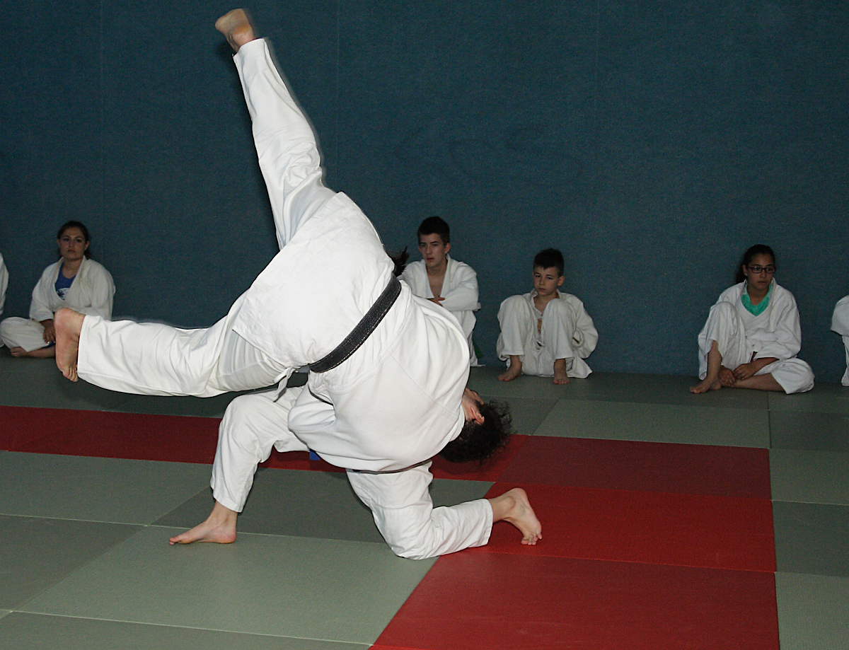 Prüfung zum 1. Kyū - Juni 2019