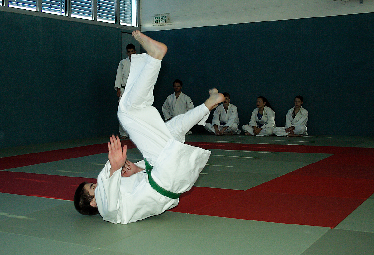 Prüfung zum 2. Kyū - Juni 2019