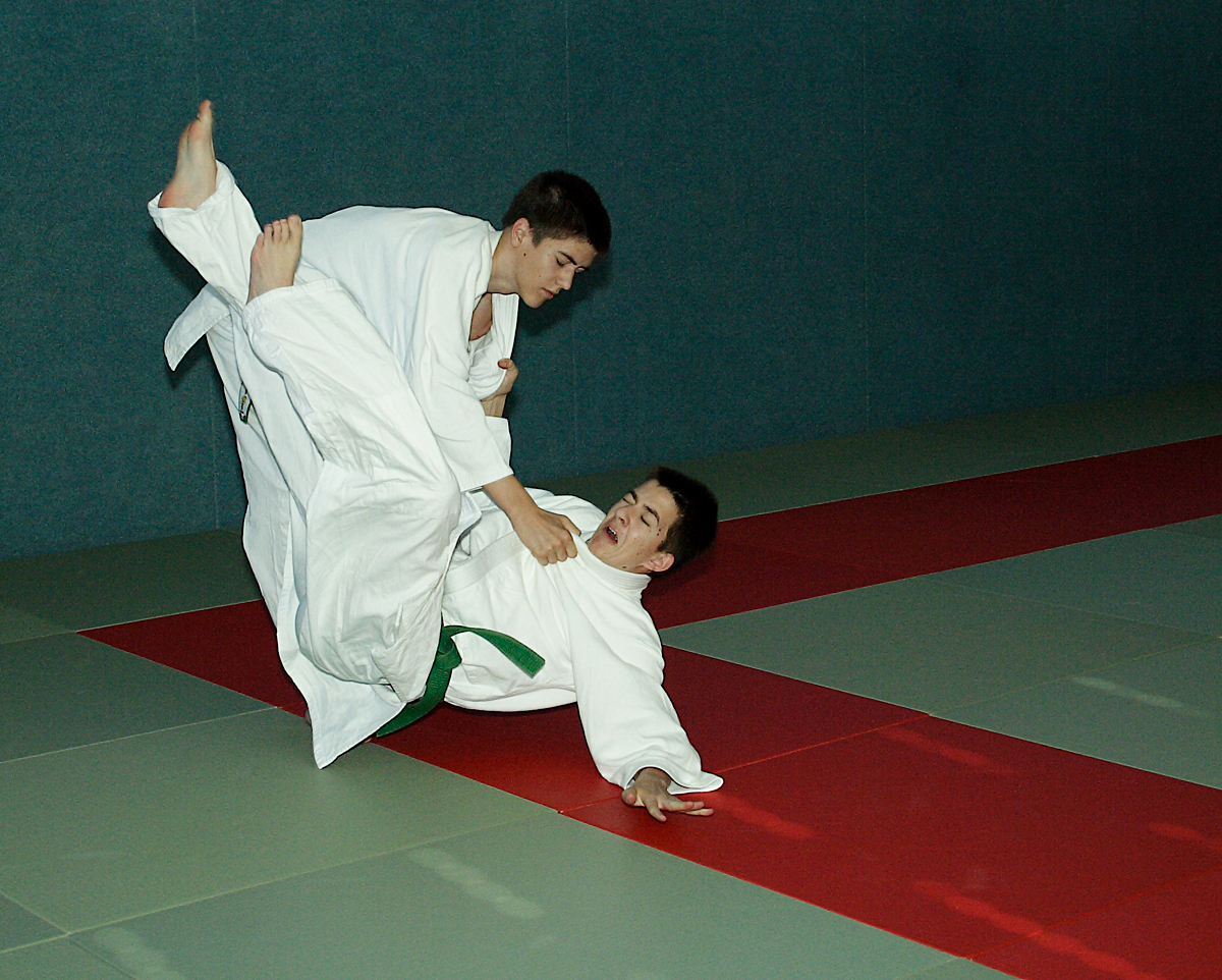 Prüfung zum 2. Kyū - Juni 2019