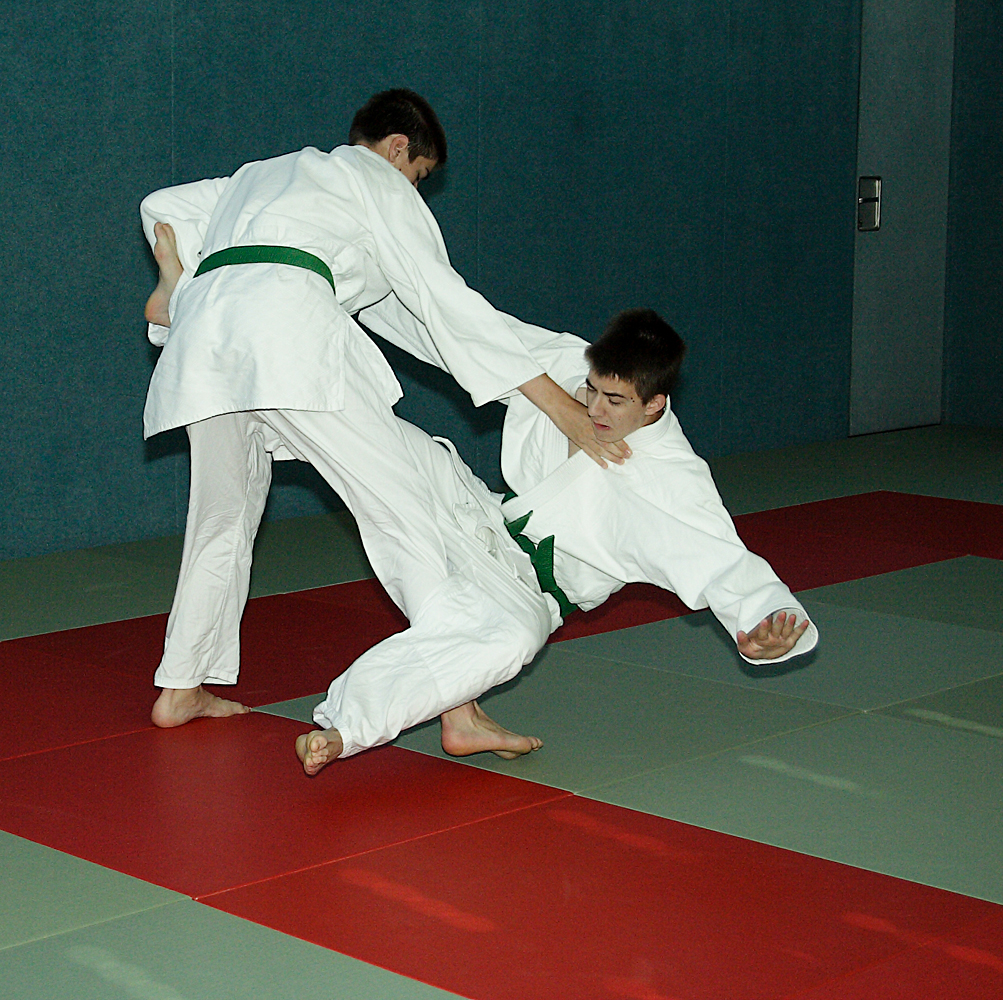 Prüfung zum 2. Kyū - Juni 2019