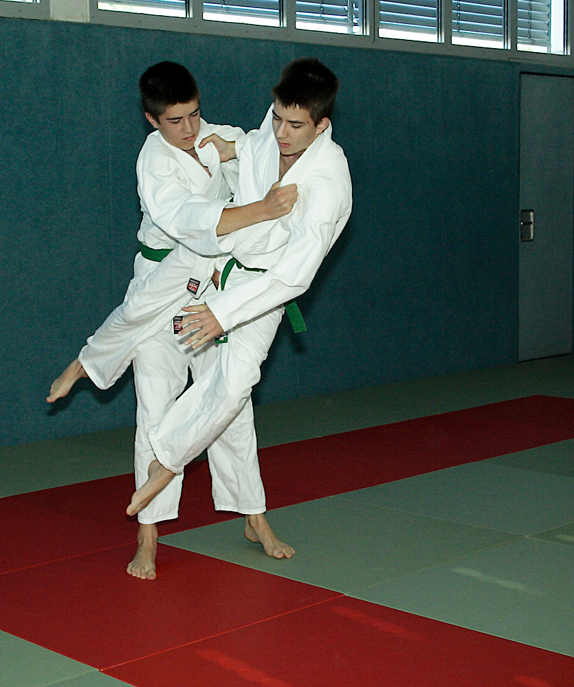 Prüfung zum 2. Kyū - Juni 2019