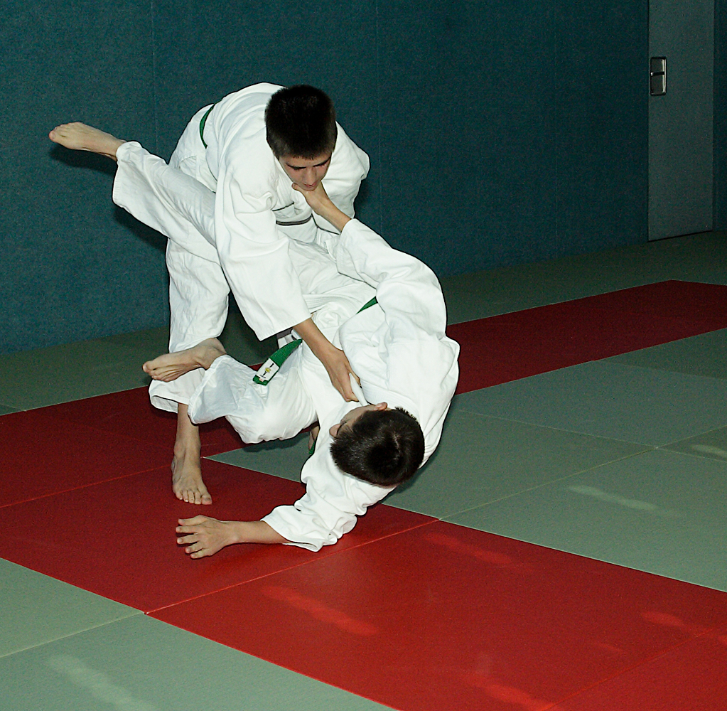 Prüfung zum 2. Kyū - Juni 2019