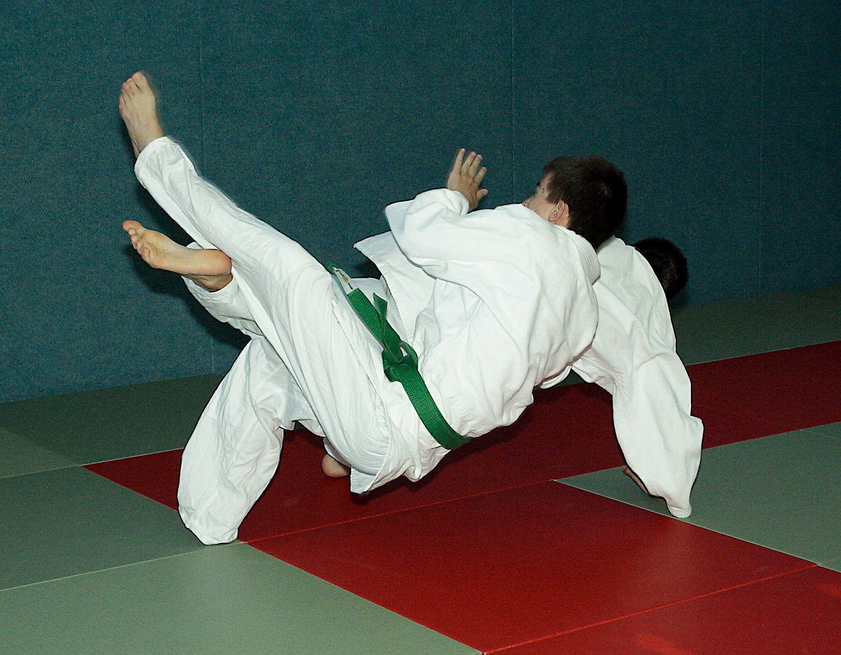 Prüfung zum 2. Kyū - Juni 2019