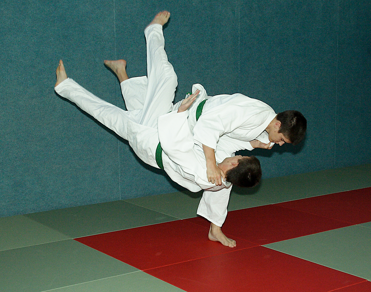 Prüfung zum 2. Kyū - Juni 2019