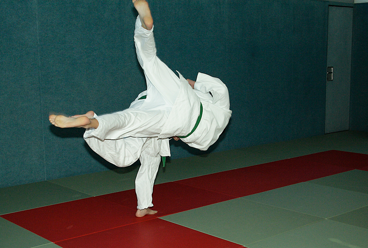 Prüfung zum 2. Kyū - Juni 2019