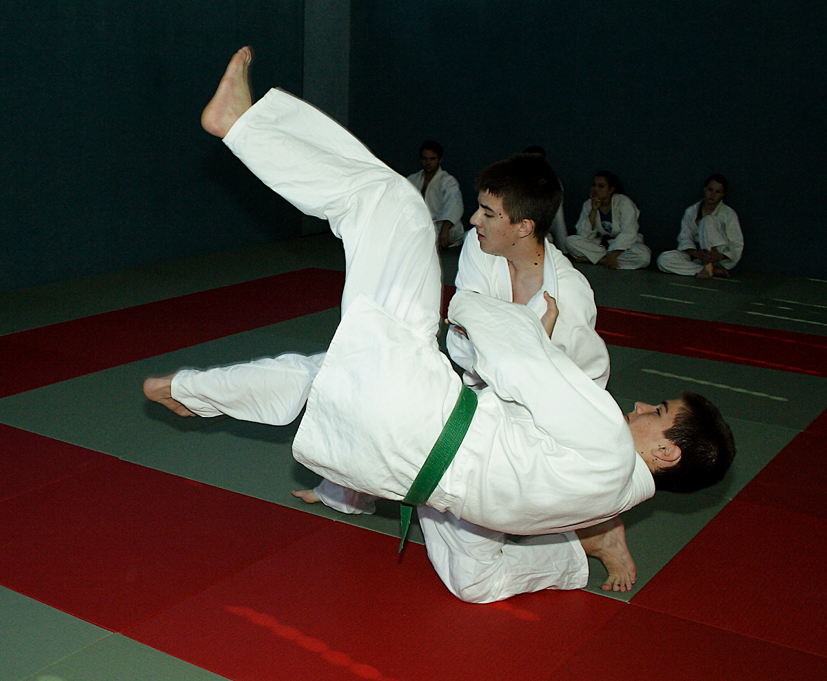 Prüfung zum 2. Kyū - Juni 2019