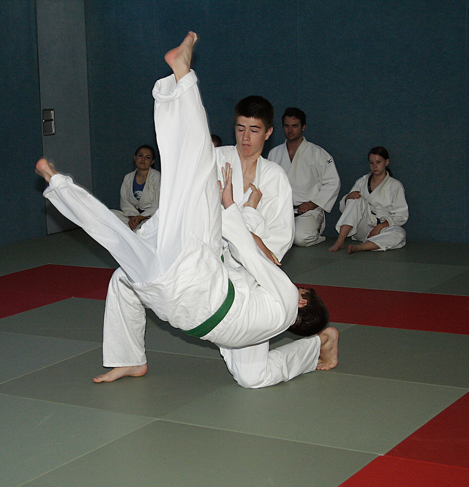 Prüfung zum 2. Kyū - Juni 2019