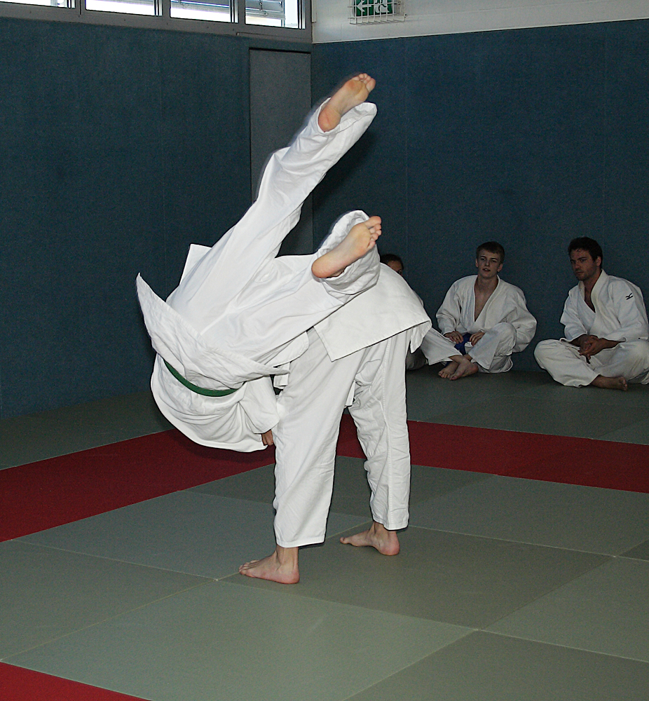 Prüfung zum 2. Kyū - Juni 2019