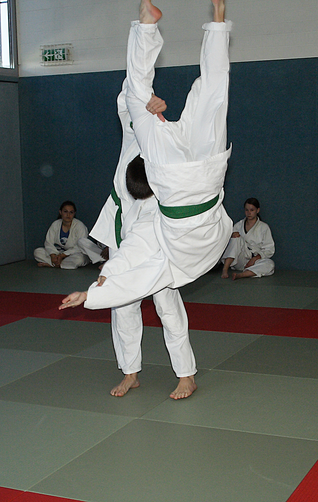 Prüfung zum 2. Kyū - Juni 2019