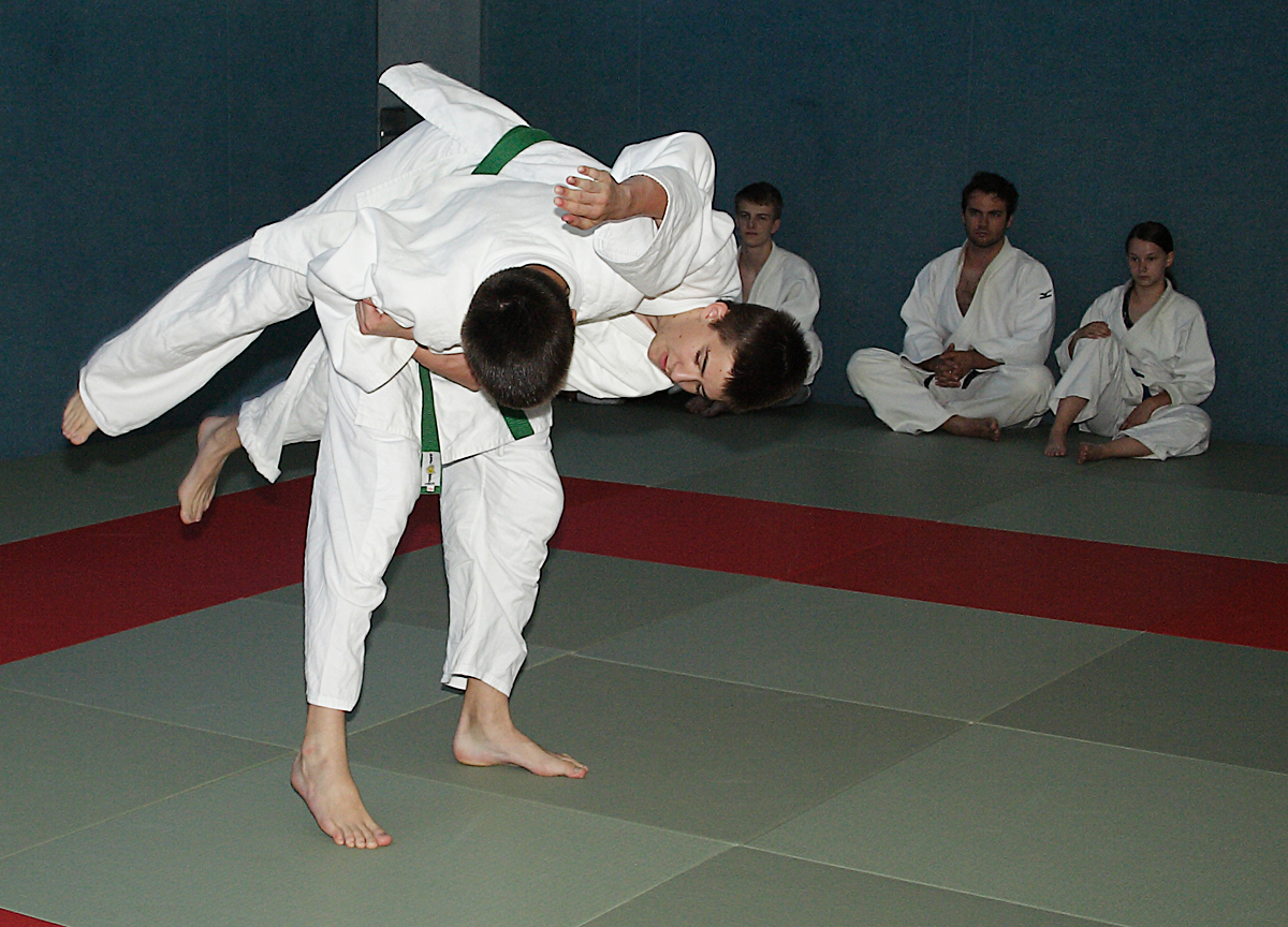 Prüfung zum 2. Kyū - Juni 2019