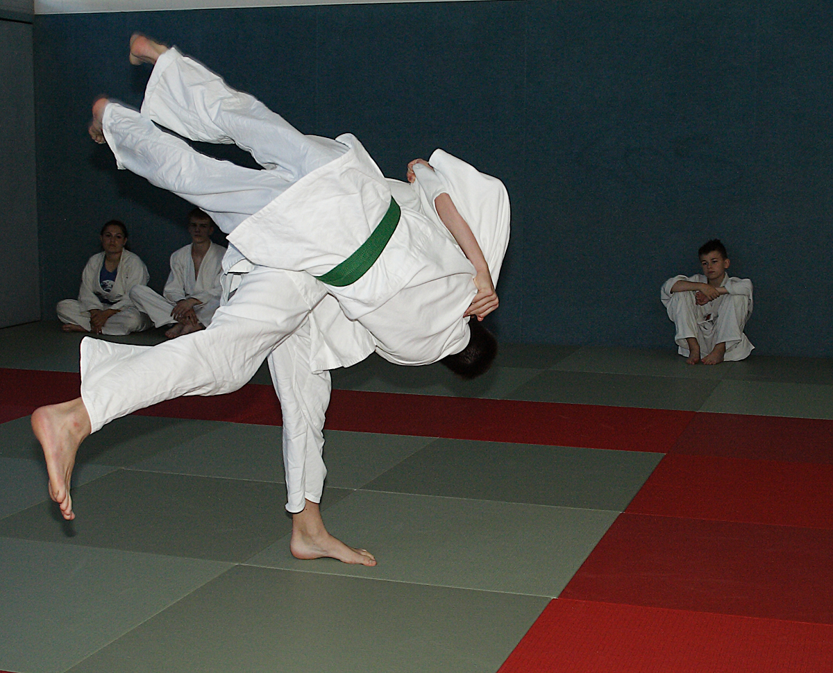 Prüfung zum 2. Kyū - Juni 2019