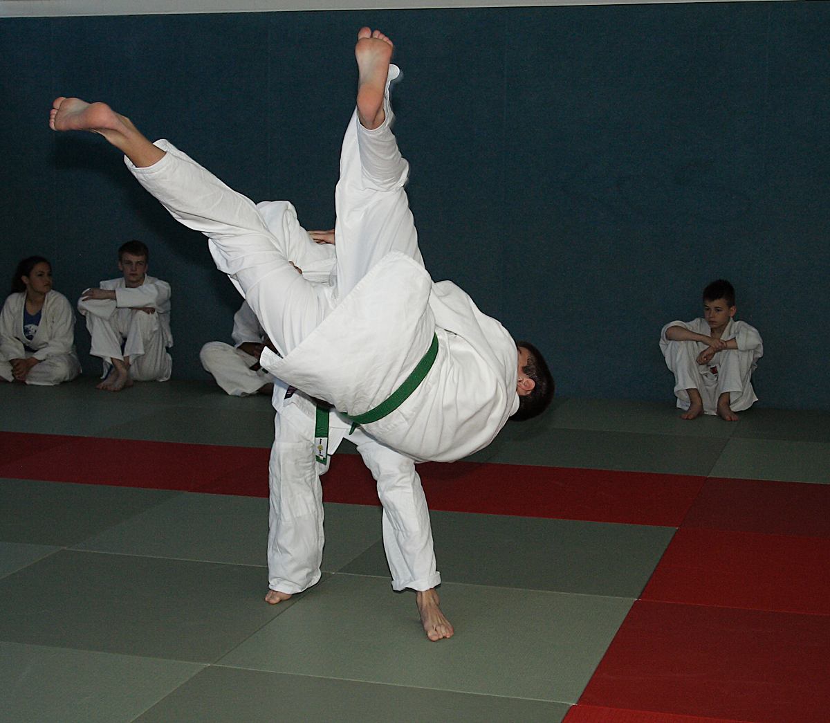 Prüfung zum 2. Kyū - Juni 2019