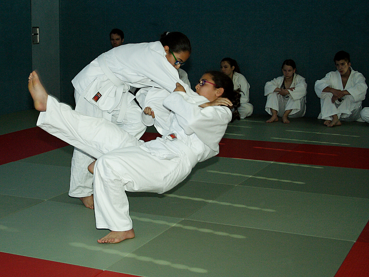 Prüfung zum 7. Kyū - Juni 2019