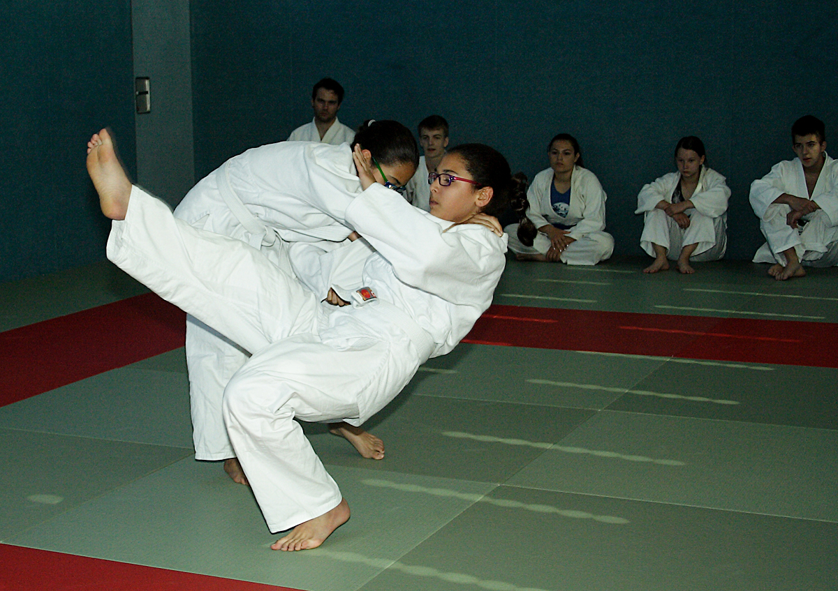 Prüfung zum 7. Kyū - Juni 2019