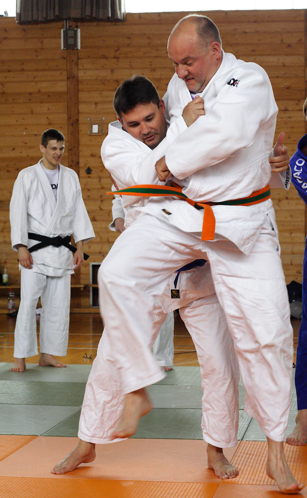 Tokio-Hirano-Gedenk–Lehrgang am 17.-18. Juni 2017