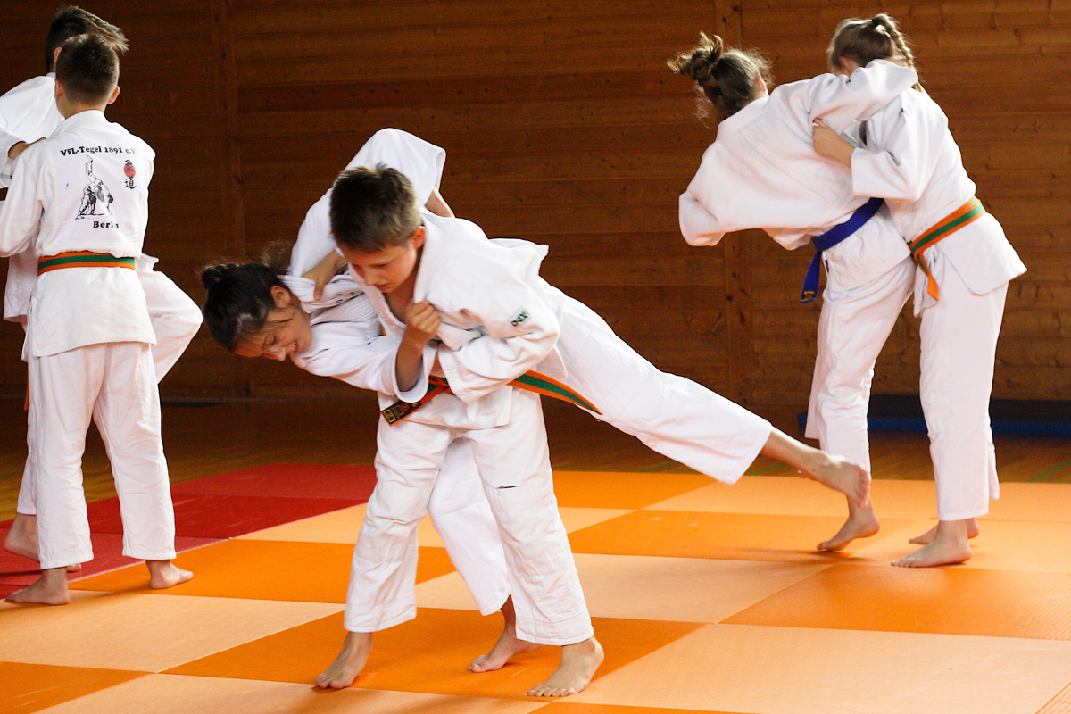 Tokio-Hirano-Gedenk–Lehrgang am 17.-18. Juni 2017