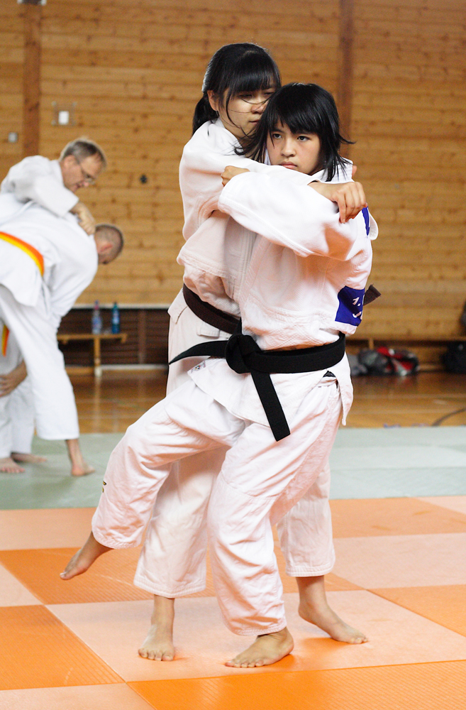 Tokio-Hirano-Gedenk–Lehrgang am 17.-18. Juni 2017